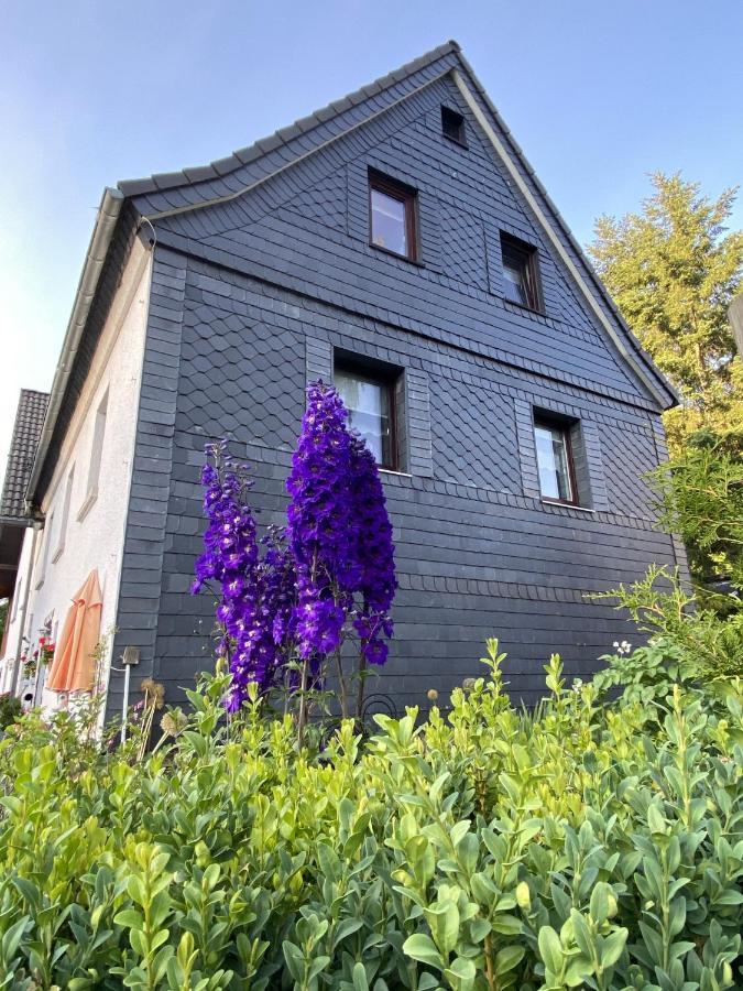 Fewo Lindenhof Hatzfeld Buitenkant foto